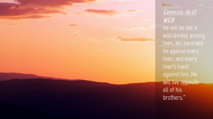 Picture 04 - Genesis 16:12 WEB Desktop Wallpaper - He will be like a wild donkey among men. His hand - Desktop Bible Verse Wallpaper