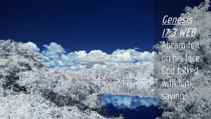 Picture 04 - Genesis 17:3 WEB Desktop Wallpaper - Abram fell on his face. God talked with him, - Desktop Bible Verse Wallpaper