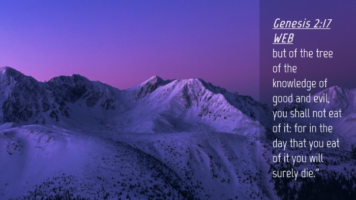 Picture 04 - Genesis 2:17 WEB Desktop Wallpaper - but of the tree of the knowledge of good and - Desktop Bible Verse Wallpaper