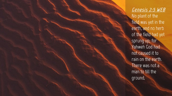 Picture 04 - Genesis 2:5 WEB Desktop Wallpaper - No plant of the field was yet in the earth, and - Desktop Bible Verse Wallpaper