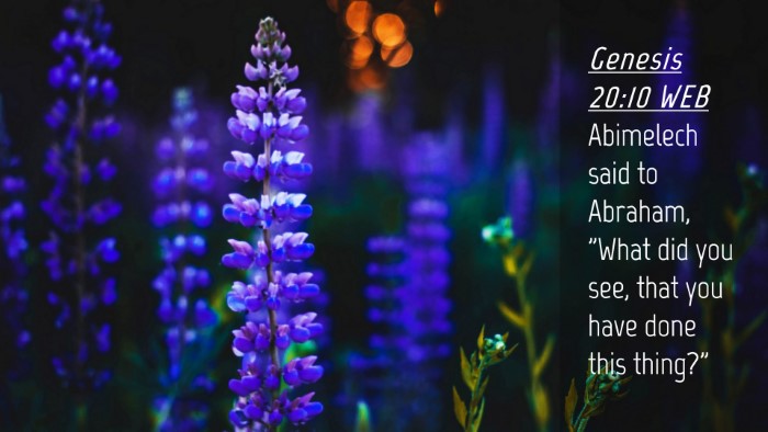 Picture 04 - Genesis 20:10 WEB Desktop Wallpaper - Abimelech said to Abraham, 
