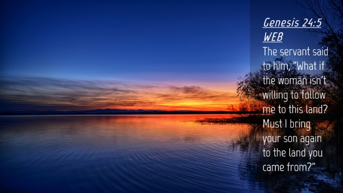 Picture 04 - Genesis 24:5 WEB Desktop Wallpaper - The servant said to him, 
