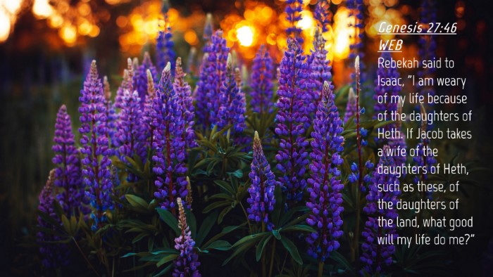 Picture 04 - Genesis 27:46 WEB Desktop Wallpaper - Rebekah said to Isaac, 