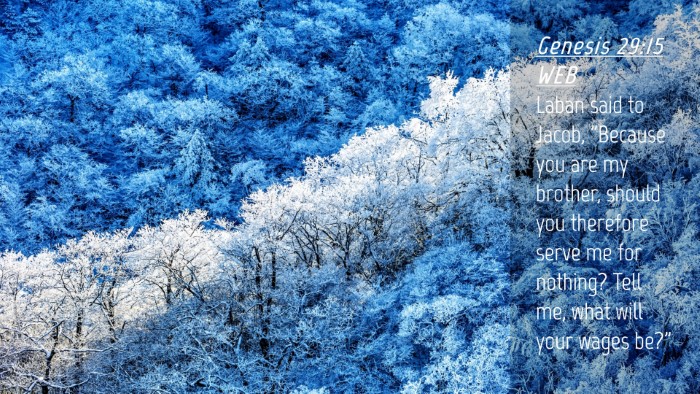 Picture 04 - Genesis 29:15 WEB Desktop Wallpaper - Laban said to Jacob, 