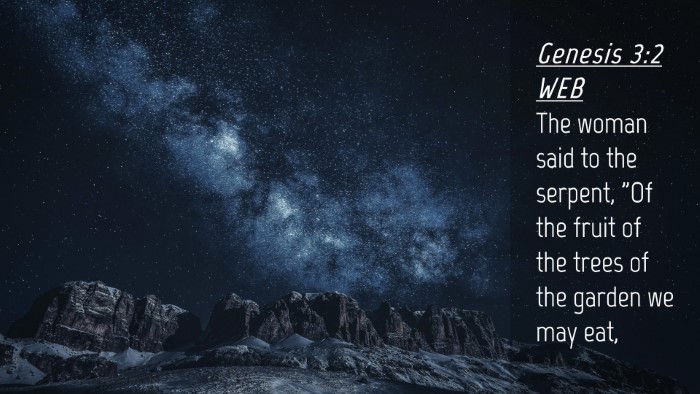 Picture 04 - Genesis 3:2 WEB Desktop Wallpaper - The woman said to the serpent, 