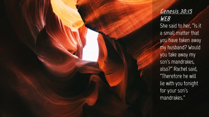 Picture 04 - Genesis 30:15 WEB Desktop Wallpaper - She said to her, 
