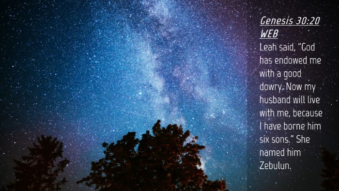 Picture 04 - Genesis 30:20 WEB Desktop Wallpaper - Leah said, 