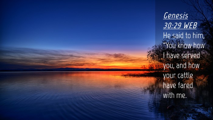 Picture 04 - Genesis 30:29 WEB Desktop Wallpaper - He said to him, 