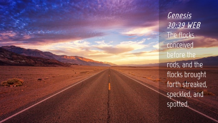 Picture 04 - Genesis 30:39 WEB Desktop Wallpaper - The flocks conceived before the rods, and the - Desktop Bible Verse Wallpaper