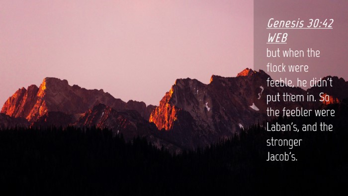 Picture 04 - Genesis 30:42 WEB Desktop Wallpaper - but when the flock were feeble, he didn't put - Desktop Bible Verse Wallpaper