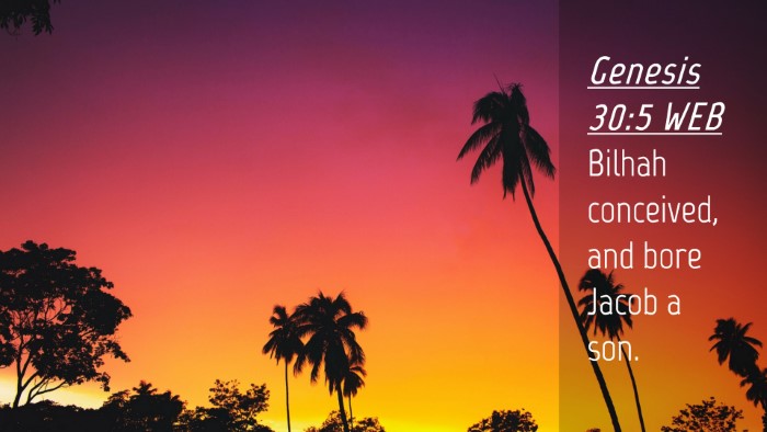 Picture 04 - Genesis 30:5 WEB Desktop Wallpaper - Bilhah conceived, and bore Jacob a - Desktop Bible Verse Wallpaper
