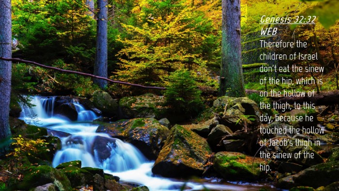 Picture 04 - Genesis 32:32 WEB Desktop Wallpaper - Therefore the children of Israel don't eat the - Desktop Bible Verse Wallpaper