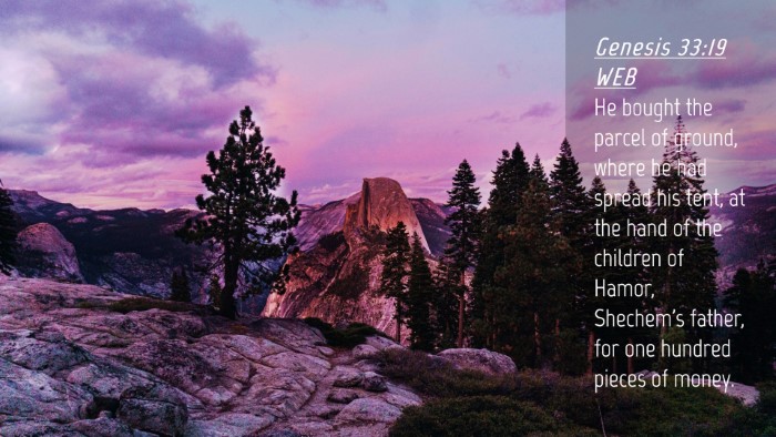 Picture 04 - Genesis 33:19 WEB Desktop Wallpaper - He bought the parcel of ground, where he had - Desktop Bible Verse Wallpaper