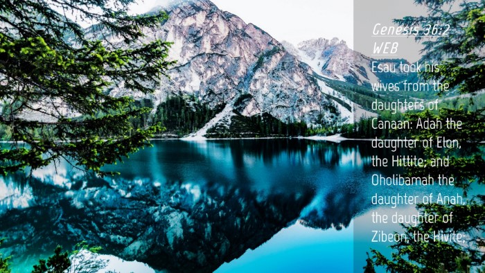 Picture 04 - Genesis 36:2 WEB Desktop Wallpaper - Esau took his wives from the daughters of Canaan: - Desktop Bible Verse Wallpaper