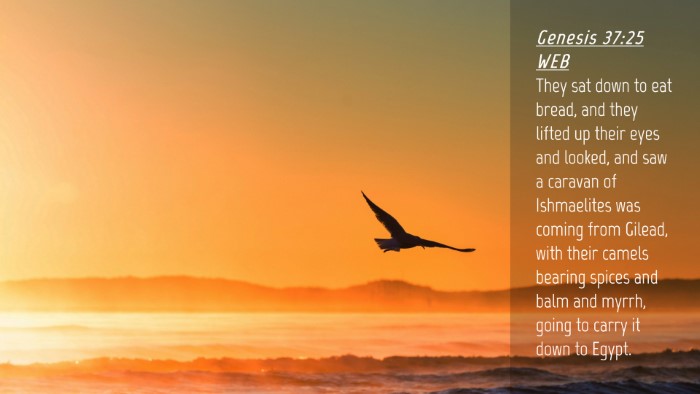 Picture 04 - Genesis 37:25 WEB Desktop Wallpaper - They sat down to eat bread, and they lifted up - Desktop Bible Verse Wallpaper