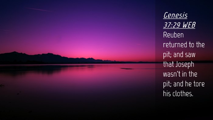 Picture 04 - Genesis 37:29 WEB Desktop Wallpaper - Reuben returned to the pit; and saw that Joseph - Desktop Bible Verse Wallpaper