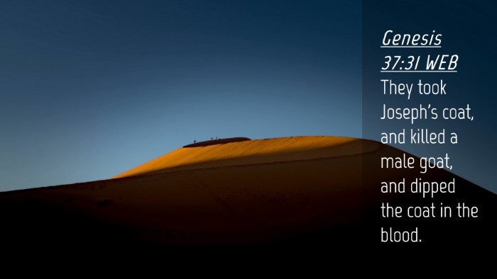 Picture 04 - Genesis 37:31 WEB Desktop Wallpaper - They took Joseph's coat, and killed a male goat, - Desktop Bible Verse Wallpaper