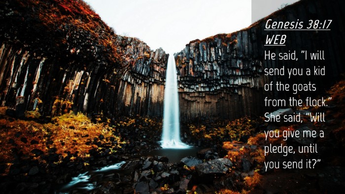 Picture 04 - Genesis 38:17 WEB Desktop Wallpaper - He said, 