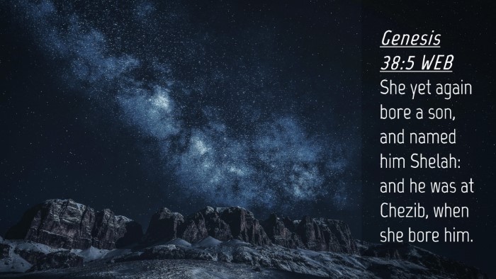 Picture 04 - Genesis 38:5 WEB Desktop Wallpaper - She yet again bore a son, and named him Shelah: - Desktop Bible Verse Wallpaper