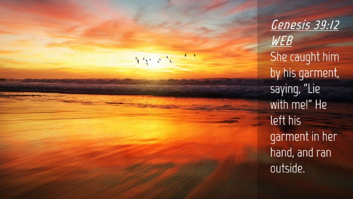 Picture 04 - Genesis 39:12 WEB Desktop Wallpaper - She caught him by his garment, saying, 