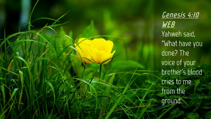 Picture 04 - Genesis 4:10 WEB Desktop Wallpaper - Yahweh said, 
