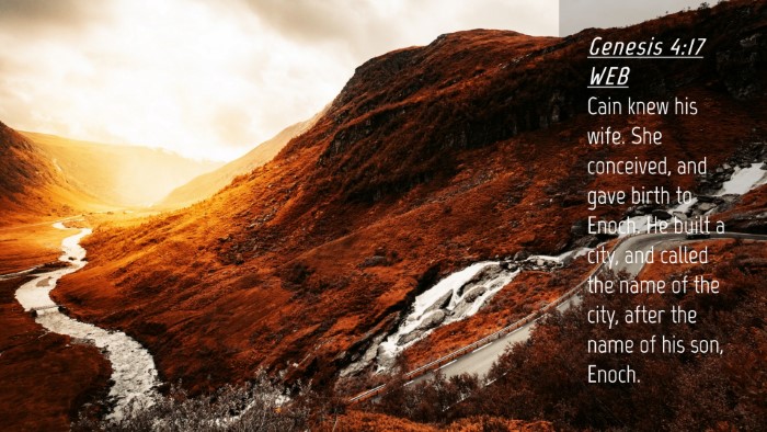 Picture 04 - Genesis 4:17 WEB Desktop Wallpaper - Cain knew his wife. She conceived, and gave birth - Desktop Bible Verse Wallpaper