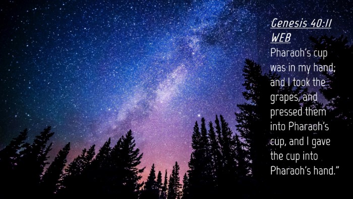 Picture 04 - Genesis 40:11 WEB Desktop Wallpaper - Pharaoh's cup was in my hand; and I took the - Desktop Bible Verse Wallpaper