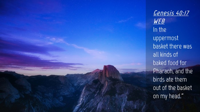 Picture 04 - Genesis 40:17 WEB Desktop Wallpaper - In the uppermost basket there was all kinds of - Desktop Bible Verse Wallpaper