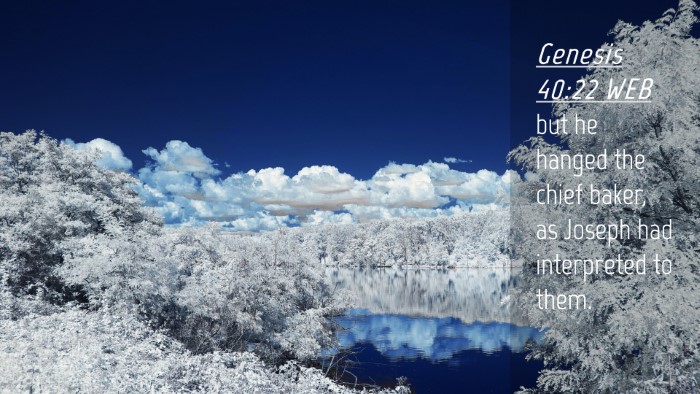 Picture 04 - Genesis 40:22 WEB Desktop Wallpaper - but he hanged the chief baker, as Joseph had - Desktop Bible Verse Wallpaper