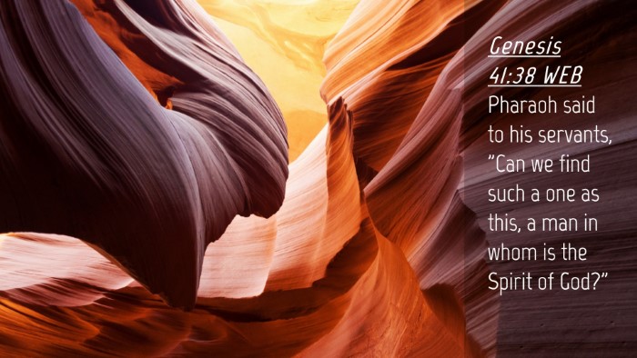 Picture 04 - Genesis 41:38 WEB Desktop Wallpaper - Pharaoh said to his servants, 