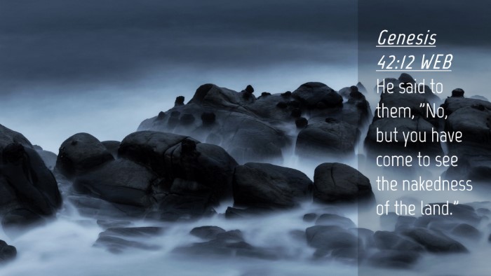 Picture 04 - Genesis 42:12 WEB Desktop Wallpaper - He said to them, 