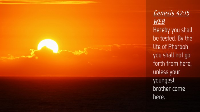 Picture 04 - Genesis 42:15 WEB Desktop Wallpaper - Hereby you shall be tested. By the life of - Desktop Bible Verse Wallpaper