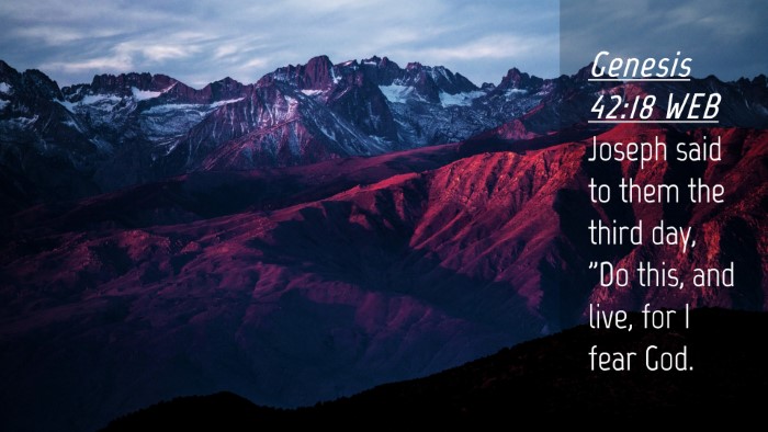 Picture 04 - Genesis 42:18 WEB Desktop Wallpaper - Joseph said to them the third day, 