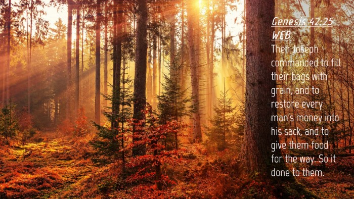 Picture 04 - Genesis 42:25 WEB Desktop Wallpaper - Then Joseph commanded to fill their bags with - Desktop Bible Verse Wallpaper