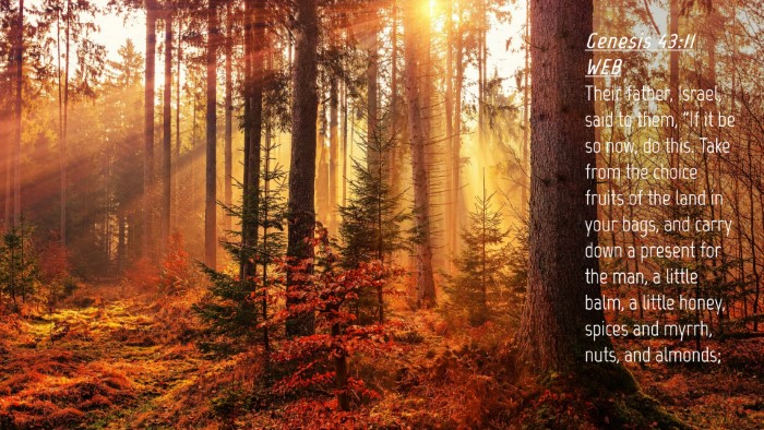 Picture 04 - Genesis 43:11 WEB Desktop Wallpaper - Their father, Israel, said to them, 
