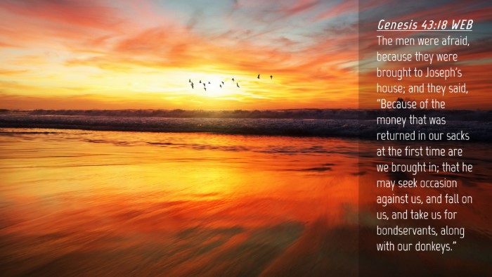 Picture 04 - Genesis 43:18 WEB Desktop Wallpaper - The men were afraid, because they were brought to - Desktop Bible Verse Wallpaper