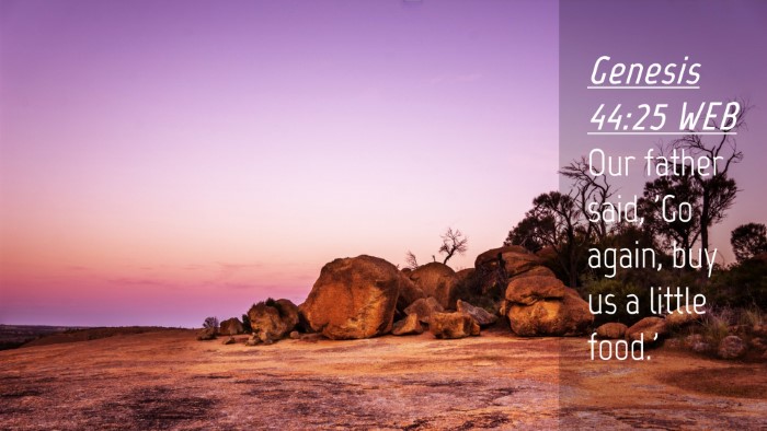 Picture 04 - Genesis 44:25 WEB Desktop Wallpaper - Our father said, 'Go again, buy us a little - Desktop Bible Verse Wallpaper