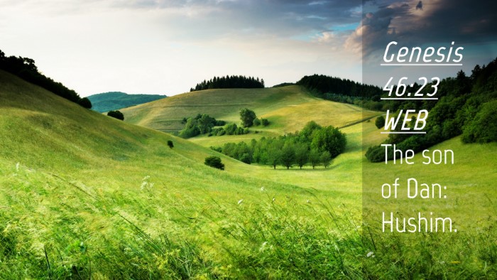 Picture 04 - Genesis 46:23 WEB Desktop Wallpaper - The son of Dan: - Desktop Bible Verse Wallpaper