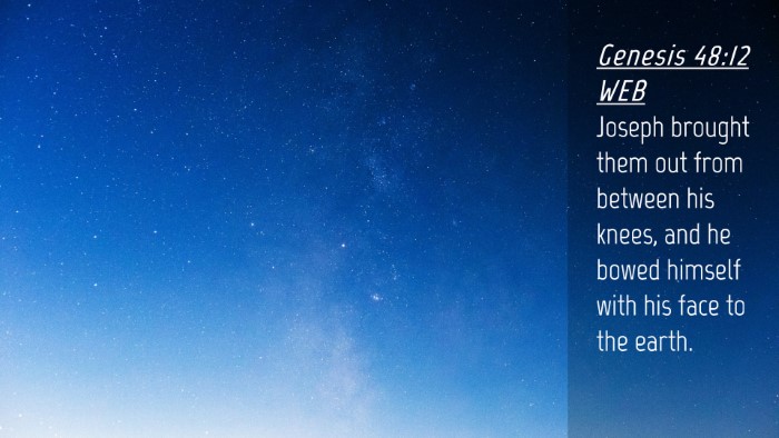 Picture 04 - Genesis 48:12 WEB Desktop Wallpaper - Joseph brought them out from between his knees, - Desktop Bible Verse Wallpaper