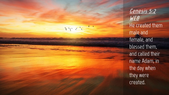 Picture 04 - Genesis 5:2 WEB Desktop Wallpaper - He created them male and female, and blessed - Desktop Bible Verse Wallpaper
