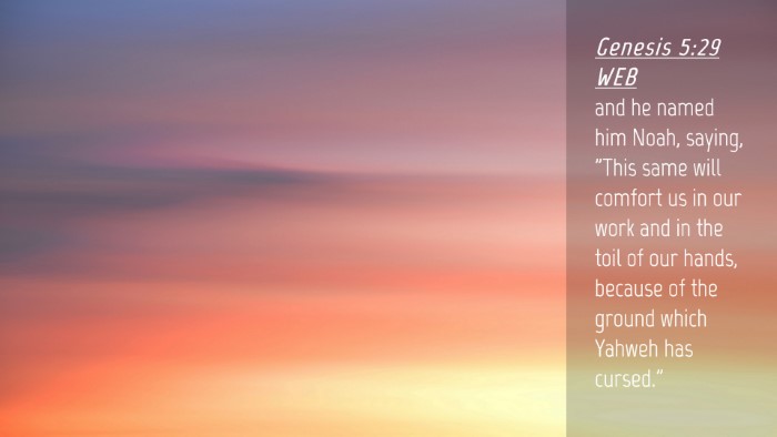 Picture 04 - Genesis 5:29 WEB Desktop Wallpaper - and he named him Noah, saying, 