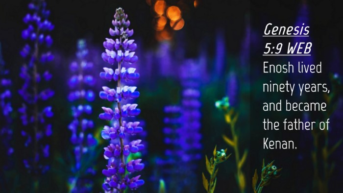 Picture 04 - Genesis 5:9 WEB Desktop Wallpaper - Enosh lived ninety years, and became the father - Desktop Bible Verse Wallpaper