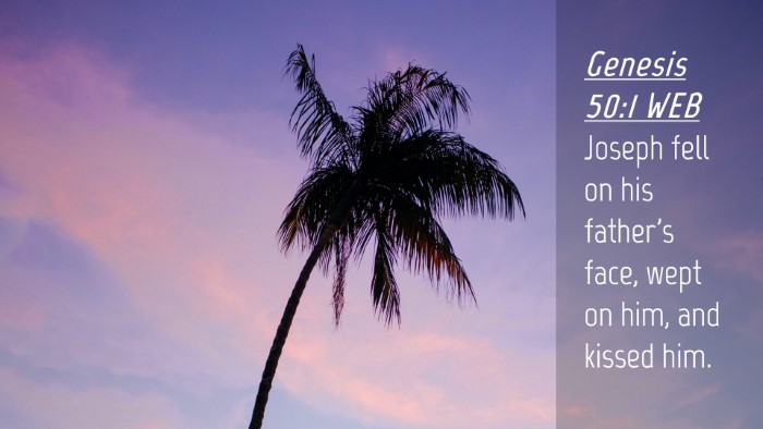Picture 04 - Genesis 50:1 WEB Desktop Wallpaper - Joseph fell on his father's face, wept on him, - Desktop Bible Verse Wallpaper