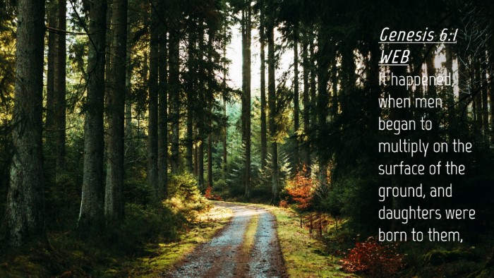 Picture 04 - Genesis 6:1 WEB Desktop Wallpaper - It happened, when men began to multiply on the - Desktop Bible Verse Wallpaper