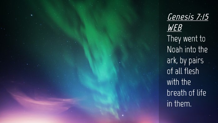 Picture 04 - Genesis 7:15 WEB Desktop Wallpaper - They went to Noah into the ark, by pairs of all - Desktop Bible Verse Wallpaper