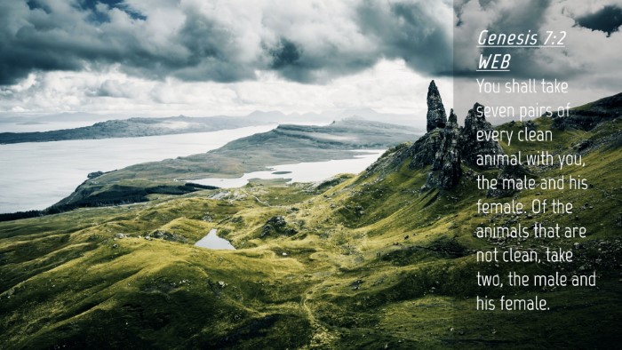 Picture 04 - Genesis 7:2 WEB Desktop Wallpaper - You shall take seven pairs of every clean animal - Desktop Bible Verse Wallpaper