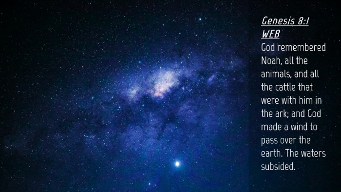 Picture 04 - Genesis 8:1 WEB Desktop Wallpaper - God remembered Noah, all the animals, and all the - Desktop Bible Verse Wallpaper