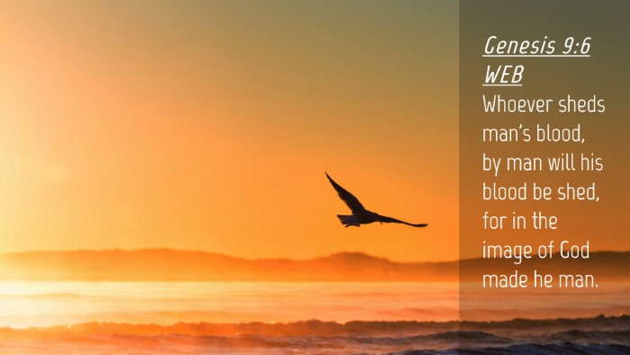 Picture 04 - Genesis 9:6 WEB Desktop Wallpaper - Whoever sheds man's blood, by man will his blood - Desktop Bible Verse Wallpaper