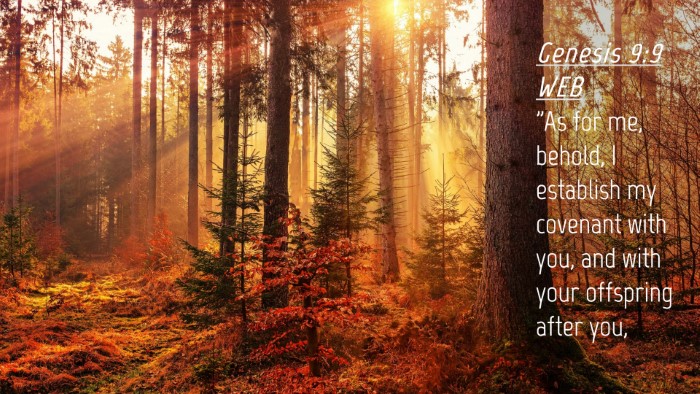 Picture 04 - Genesis 9:9 WEB Desktop Wallpaper - 