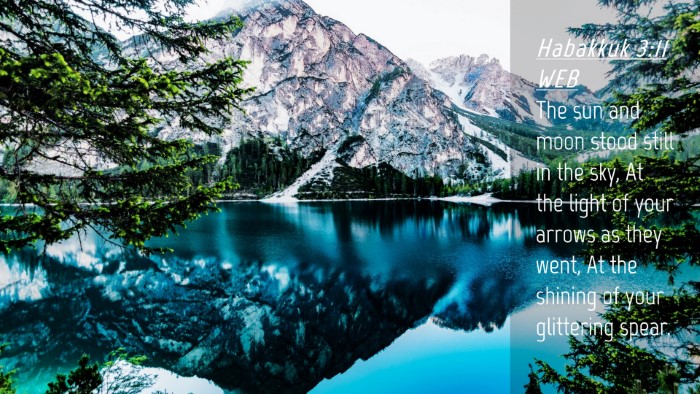 Picture 04 - Habakkuk 3:11 WEB Desktop Wallpaper - The sun and moon stood still in the sky, At the - Desktop Bible Verse Wallpaper